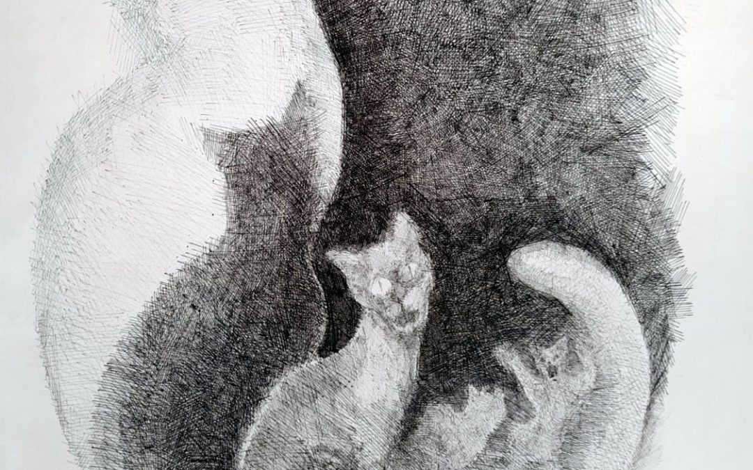 Ortner H. | o.T. (Katzen)