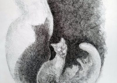 Ortner H. | o.T. (Katzen)