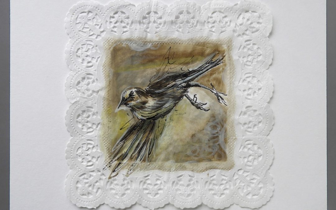 Gasser H. | Bird